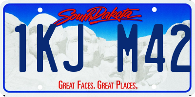 SD license plate 1KJM42