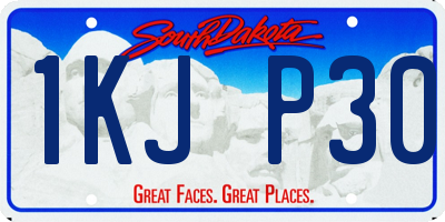 SD license plate 1KJP30