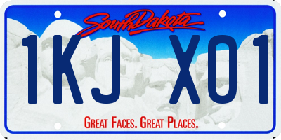 SD license plate 1KJX01