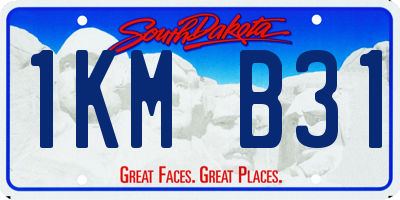SD license plate 1KMB31