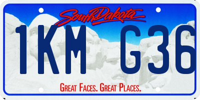 SD license plate 1KMG36