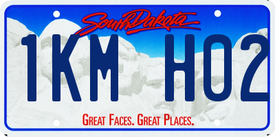 SD license plate 1KMH02