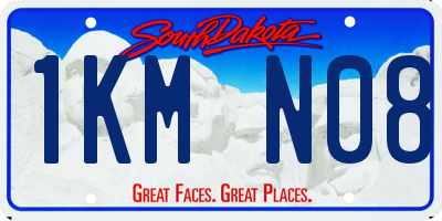 SD license plate 1KMN08