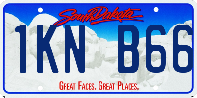 SD license plate 1KNB66