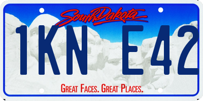 SD license plate 1KNE42