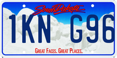 SD license plate 1KNG96