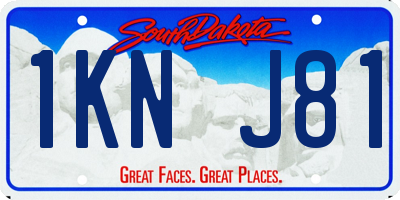 SD license plate 1KNJ81