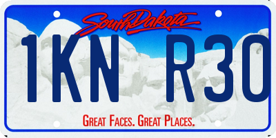 SD license plate 1KNR30