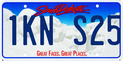 SD license plate 1KNS25