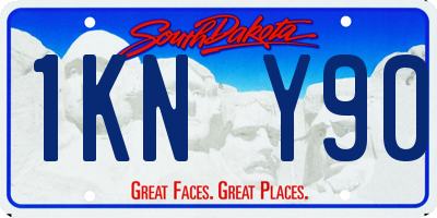 SD license plate 1KNY90