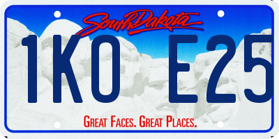 SD license plate 1KOE25