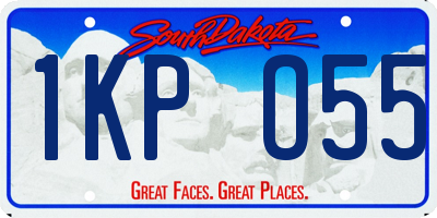 SD license plate 1KPO55