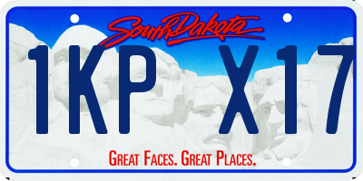 SD license plate 1KPX17