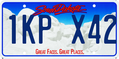 SD license plate 1KPX42