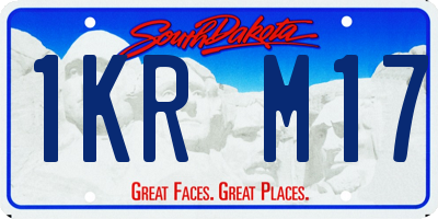 SD license plate 1KRM17