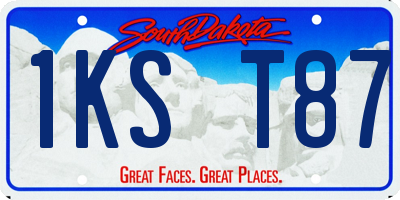 SD license plate 1KST87