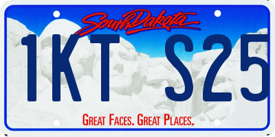 SD license plate 1KTS25
