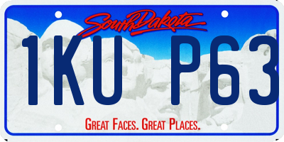 SD license plate 1KUP63