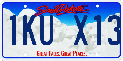 SD license plate 1KUX13