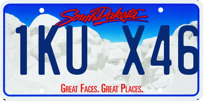 SD license plate 1KUX46