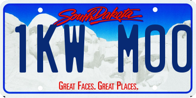 SD license plate 1KWM00