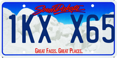 SD license plate 1KXX65