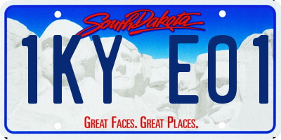 SD license plate 1KYE01