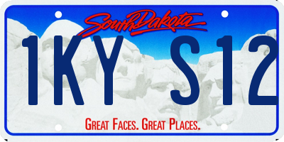 SD license plate 1KYS12