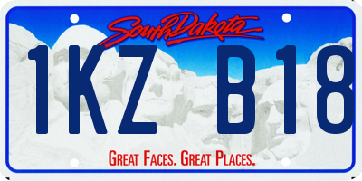 SD license plate 1KZB18