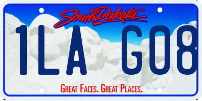 SD license plate 1LAG08