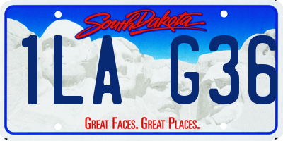SD license plate 1LAG36