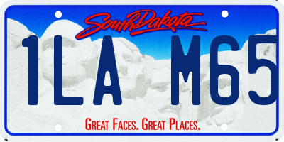 SD license plate 1LAM65