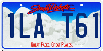 SD license plate 1LAT61