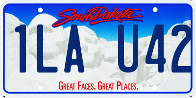 SD license plate 1LAU42