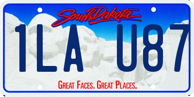 SD license plate 1LAU87
