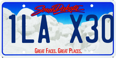SD license plate 1LAX30
