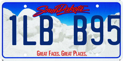 SD license plate 1LBB95