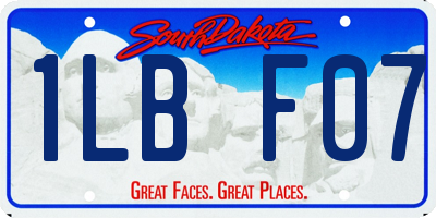 SD license plate 1LBF07