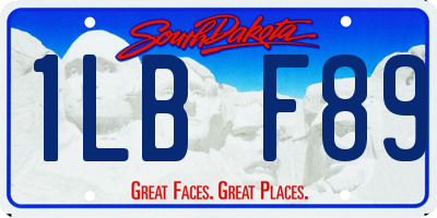 SD license plate 1LBF89