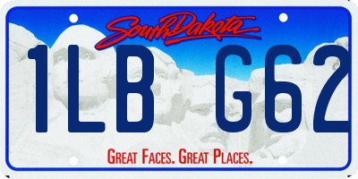 SD license plate 1LBG62