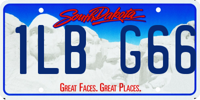 SD license plate 1LBG66