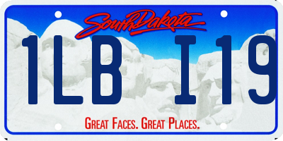 SD license plate 1LBI19