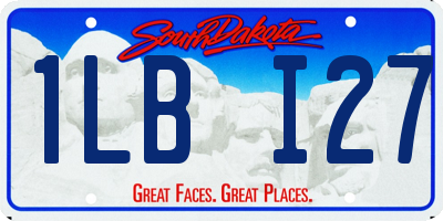 SD license plate 1LBI27