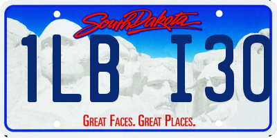 SD license plate 1LBI30