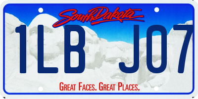 SD license plate 1LBJ07