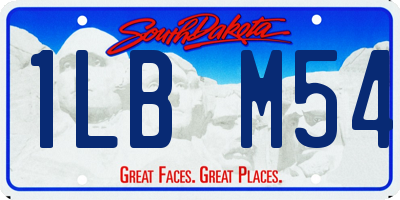 SD license plate 1LBM54