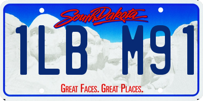 SD license plate 1LBM91
