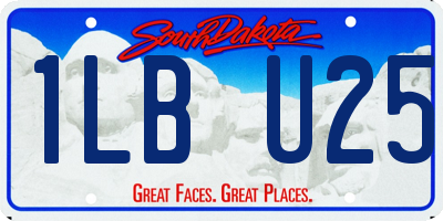 SD license plate 1LBU25