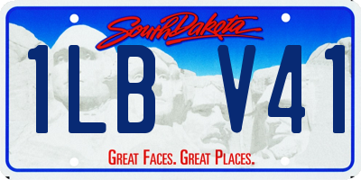 SD license plate 1LBV41