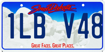 SD license plate 1LBV48
